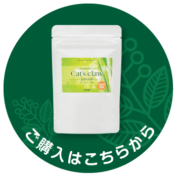 ご購入はこちら