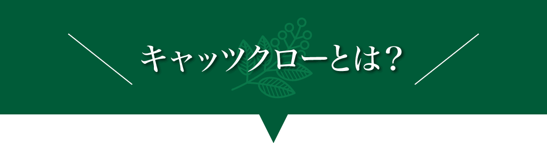 キャッツクローの成分
