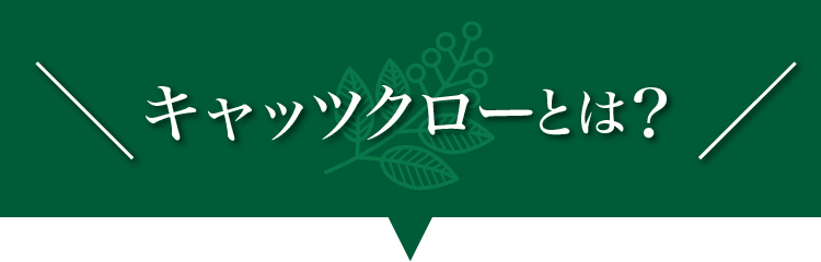 キャッツクローの成分