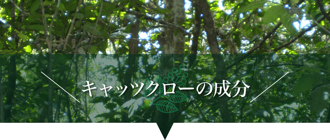 キャッツクローの成分