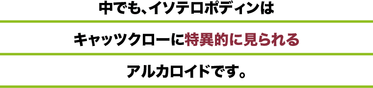 中でも、イソテロポディンはキャッツクローに特異的に見られるアルカロイドです。