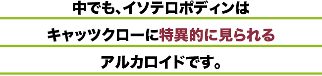 中でも、イソテロポディンはキャッツクローに特異的に見られるアルカロイドです。