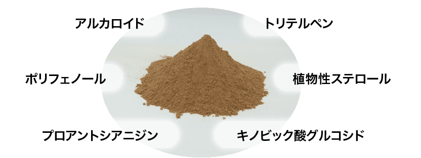 アルカロイド｜トリテルペン｜ポリフェノール｜植物性ステロール｜プロアントシアニジン｜キノビック酸グルコシド