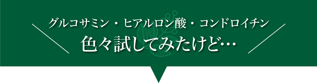 グルコサミン・ヒアルロン酸・コンドロイチン 色々試してみたけど・・・