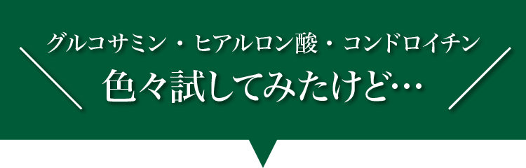 グルコサミン・ヒアルロン酸・コンドロイチン 色々試してみたけど・・・