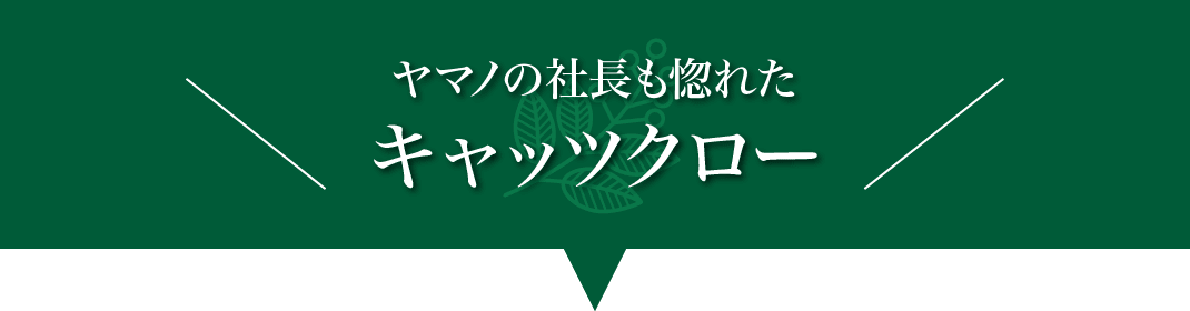 ヤマノの社長も惚れたキャッツクロー