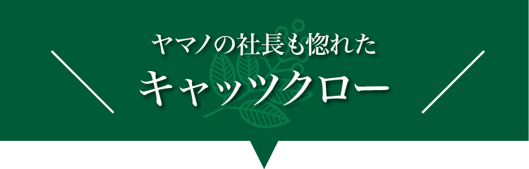 ヤマノの社長も惚れたキャッツクロー