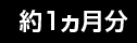 約1ヵ月