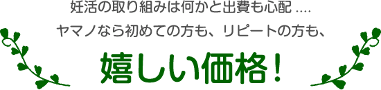 妊活の取り組みは何かと出費も心配....ヤマノなら初めての方も、リピートの方も、嬉しい価格!
