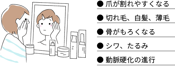 ●爪が割れやすくなる　●切れ毛、白髪、薄毛　●骨がもろくなる　●シワ、たるみ　●動脈硬化の進行