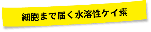 細胞まで届く水溶性ケイ素