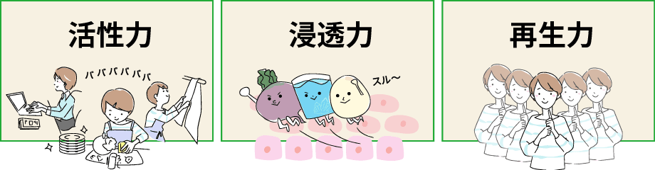 ●活性力　●浸透力　●再生力