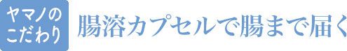 ヤマノのこだわり/腸溶カプセルで腸まで届く